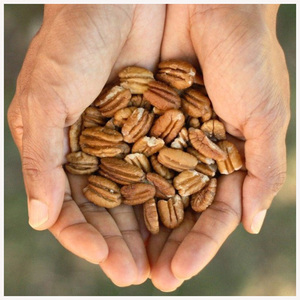 Nueces de pecán tostadas naturales y económicas en venta - Product Image 3