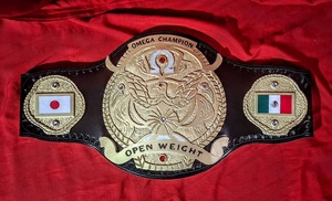 Cinturón de Campeonato de Lucha Libre Personalizado de Peso Pesado - Product Image 3