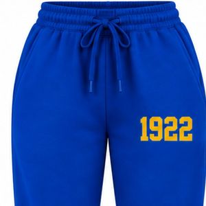 Pantalones Deportivos Personalizados para Mujer, Marca Sigma Gamma Rho, Pantalones Deportivos de Felpa Suave para Hermandades Griegas, Ropa Deportiva Informal al por Mayor - Product Image 3