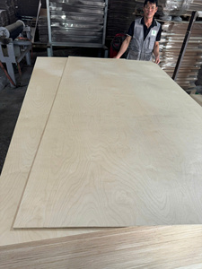 Contreplaqué de bouleau de qualité HLC - Écologique, imperméable, pour usage intérieur, idéal pour les surfaces des kiosques d'hôtel et des chariots alimentaires - Product Image 5