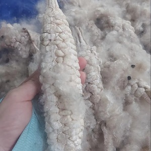 Matériau de rembourrage en fibres de kapok 100% naturel et écologique pour oreillers, coussins, matelas et jouets en peluche - Product Image 5