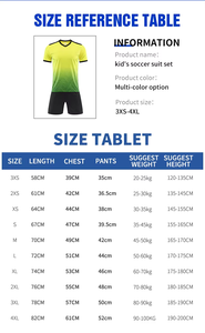 Conjunto de Uniforme de Fútbol para Niños al por Mayor, 100% Poliéster, Transpirable, Antibacterial, para Equipos Escolares y Clubes - Product Image 2