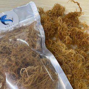 Mousse de mer Eucheuma Cottonii de Wildcrafted Fourniture en vrac de mousse irlandaise biologique OEM - Product Image 2