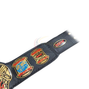 2025 New Custom IWGP United States Championship Title Wrestling <b>Belt</b> Brass Material Top Quality Wholesale Manufacturer - Product Image 4