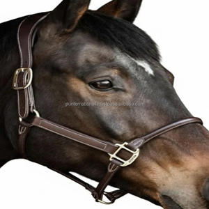 Licou de cheval en cuir rembourré de conception anatomique classique avec des accessoires en laiton réglables robustes - Product Image 3