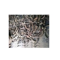 Corne de bufflonne brute, corne de vache naturelle pour la confection de boutons de vêtements, artisanat Court Jean's, corne de vache brute naturelle