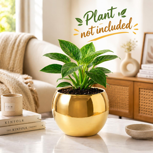 Gold Metal Planter <b>Pot</b> 8cm x 10cm <b>Small</b> Decorative Flower Container for <b>Indoor</b> <b>Plants</b> Modern Tabletop Planter for Living Room - Product Image 5