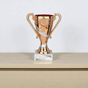 Gold Silver Bronze Plated Portable Modern Awards <b>Trophy</b> <b>Engraved</b> Customised Print Sports Cup Prize for Games and Competitions - Product Image 2