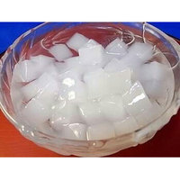 HALAL Hoge Kwaliteit Nata De Coco in Sirop uit Vietnam voor Voedsel & Dranken, Groothandel Bulk OEM ODM Private Label Fabriek Direct