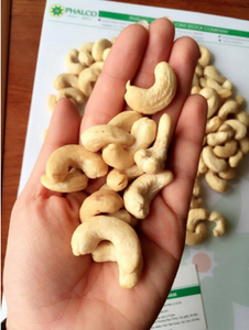 เมล็ดมะม่วงหิมพานต์ออแกนิก W180/W320/W240เมล็ดคั่วและแปรรูปจากเวียดนาม - Product Image 3