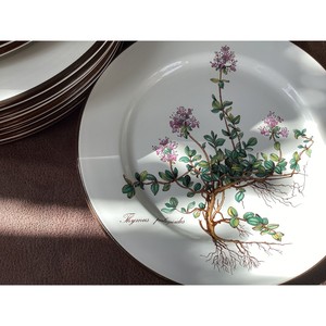 Platos de Cerámica Pintados a Mano, Vajilla con Diseño Artesanal para Uso Doméstico y en Restaurantes - Product Image 5