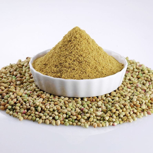 Fabricant et exportateur expérimenté, poudre de coriandre verte 100% pure et naturelle de la meilleure qualité, personnalisable - Product Image 1