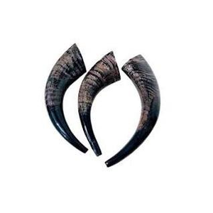 Corneta de Cuerno de Buey Vikinga Tallada a Mano, Silbato de Cuerno de Toro Medieval, Ecológico - Product Image 3