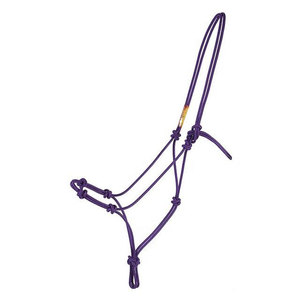Pink Woven Horse Halter With Gold Buckles And Adjustable Straps For Equestrian Riding - Product Image 2