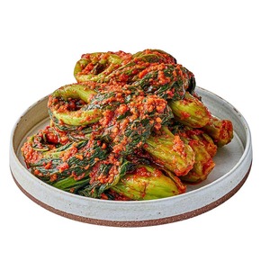 [Palgong Kimchi] Palgongsan Gat Kimchi, Légume fermenté coréen authentique à base de feuilles de moutarde, épicé, traditionnel, Hansik - Product Image 1
