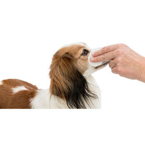 Eye Care Clean Eyes 100 Unidades Suministros para Animales Pequeños - Product Image 4