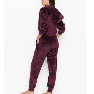 New Article <b>Women's</b> 2 Piece <b>Velvet</b> Hooded Sweatshirt Set Loose Fit Full Length Casual Wear All Seasons Solid Color - Product Image 5