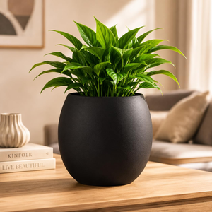 Premium Black Metal Planter <b>Pot</b> with Modern Round Design <b>Decorative</b> Flower Container for Indoor Outdoor <b>Plants</b> Home Living Room - Product Image 1