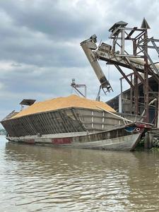 ข้าวหอมมะลิ 100% คุณภาพดี ขายส่งจำนวนมาก ราคาพิเศษ ตรงจากโรงงานเวียดนาม WA0084786436556 - Product Image 6