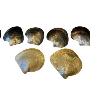 Ensemble noir et doré de plat à gâteau, plat en coquillage poli et plateau en nacre, artisanat naturel, VENTE CHAUDE 2026 - Product Image 1