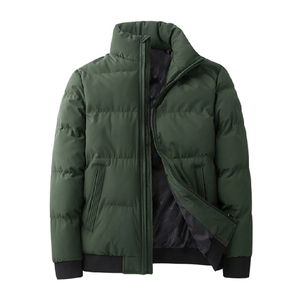 Blouson matelassé vert pour homme avec capuche, fermeture éclair, imperméable, écologique, manteau d'hiver décontracté, coupe régulière, rembourrage en polyester de haute qualité - Product Image 1