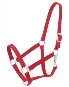 Deluxe Nylon Horse Headcollar with Neoprene Padding Model DI'NH'009-<b>Equestrian</b> Equipment From Divine International - Product Image 6