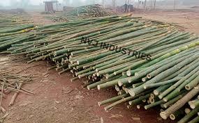 เสาไม้ไผ่ขายส่งสำหรับค้ำต้นไม้ ตกแต่งสวน และโครงสร้างกลางแจ้ง - Product Image 6