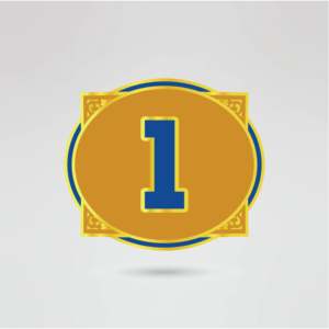 Ceinture de championnat de lutte personnalisée avec quatre plaques latérales en laiton et zinc de 2 mm/4 mm d'épaisseur, équipement sportif personnalisé - Product Image 4