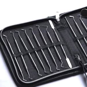 Kit de Instrumentos Dentales Profesionales de Acero Inoxidable, Juego de Herramientas para Cuidado Bucal, Estuche Negro, Equipo de Cirugía Manual para Odontología - Product Image 3