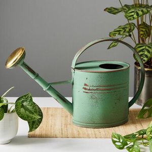 Arrosoir décoratif vintage en métal pour plantes d'intérieur et d'extérieur, pot à eau avec poignée - Product Image 2