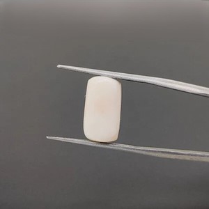 Coral Blanco Natural (Safed Munga) Cabujón Rectangular Piedra Preciosa |   Coral Suelto Certificado para Joyería y Astrología - Product Image 1