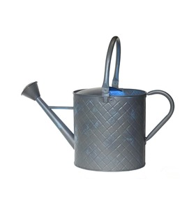 Arrosoir décoratif personnalisé avec long bec pour le jardinage intérieur et extérieur - Product Image 1
