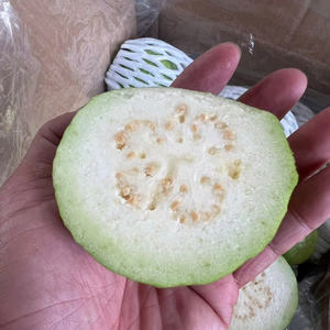 Custom <b>Packaging</b> for Fresh Tropical Guava From Vietnam Natural <b>Sweet</b> Taste & Rich Vitamins for Private Label Purposes - Product Image 1