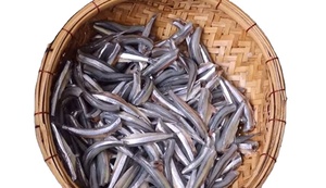 ANCHOIS NATURELS 100% SÉCHÉS QUALITÉ SUPÉRIEURE - Product Image 3