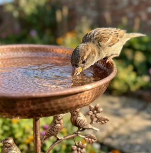 Meilleur Bain d'oiseaux élégant et respectueux des oiseaux pour jardin, en métal, bol en cuivre avec support en fer, couleur noire, fait main - Product Image 2