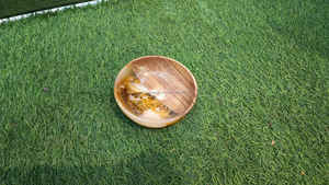 Cuenco de resina epoxi de madera de la mejor calidad de marca con guayaba blanca en todos los tamaños en forma Cuenco de resina de madera de 13 cm de diámetro - Product Image 3