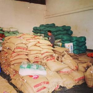 HANCOFFEE Proveedor Vietnamita, Nueva Cosecha 2026, Granos de Robusta Verdes - Precio Mayorista Más Bajo - Empaquetado en Bolsas de 60 kg/PP/Yute - Product Image 2