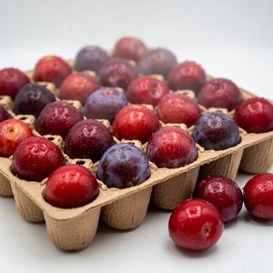 Fruit Packaging <b>Eco</b>-Friendly Anti Break Compostable Molded Pulp Tray Fresh Fruit Tray From Vietnam Manufacturer Paper Boxes - Product Image 4