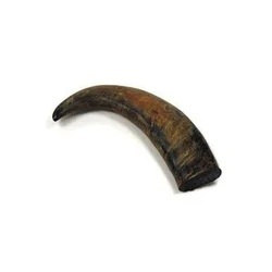 Cuerno de Búfalo y Punta de Cuerno de Buey de Buena Calidad, Personalizados para Venta al por Mayor, Calidad Natural - Product Image 4
