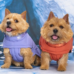 [MUNIKUND] Thermal Up Padding Air 2 Vegan Down Padded Dog Jacket Waterproof Winter Pet Coat for Cold Season - Product Image 3