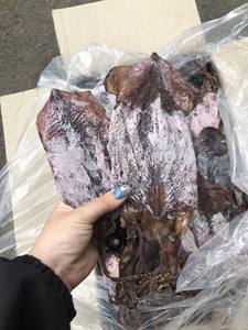 CALAMAR NEGRO SECO/PIEL DE CALAMAR NEGRO SECO EN ORIGEN VIETNAM-Sra. Beatrix - Product Image 5