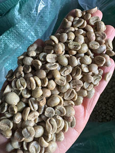 เมล็ดกาแฟอาราบิก้าและโรบัสต้าคุณภาพสูง ราคาแข่งขัน สะอาด สำหรับคั่ว กระบวนการล้างเต็มรูปแบบ บรรจุ 60 กก./ถุง PP - Product Image 6