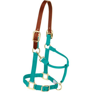 Kandari Sports Leather Horse <b>Halter</b> with Soft Padding and Alloy Hardware Durable & Comfortable Black - Product Image 4