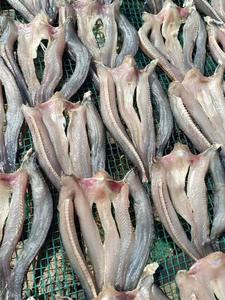 Filetes Premium de Pescado Cabeza de Serpiente (Channa Striata) - Sin Piel, Sin Espinas, Snacks de Mariscos, Sabor a Carne de Aves, Vietnam, Bolsa, 12 Meses - Product Image 6