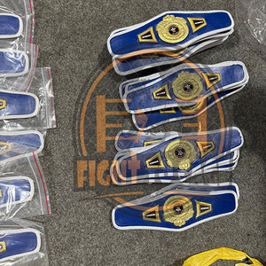 Crea tu propio logo, cinturón mini a precio económico, ligero, duradero, para lucha libre, boxeo, artes marciales mixtas, cinturones de campeonato para niños. - Product Image 3