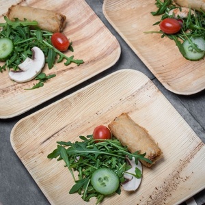 New <b>Disposable</b> Biodegradable Palm Leaf <b>Plates</b> 6 Inches Square Shapes for Desserts & Dry Snacks Home Use 25 Pcs <b>Plates</b> in 2026 - Product Image 1