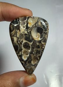 Cabochon en agate Turritella en forme de cœur, pierre précieuse minérale polie pour la fabrication de bijoux - Product Image 1