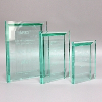 Trophée personnalisé en acrylique avec logo sur mesure, plaque de reconnaissance d'entreprise pour événements professionnels
