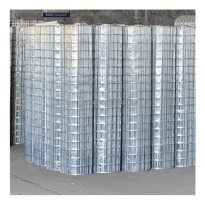 12 gauge galvanized Low Price Hot Dipped 6 Gauge Galvanized stainless steel Welded Wire Mesh Fencewelded wire mes