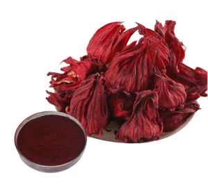 POLVO DE HIBISCO SOLUBLE EN AGUA DE ALTA CALIDAD PARA TÉS Y BEBIDAS HERBALES - Product Image 2